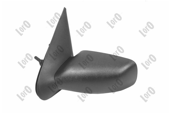 Exterior Mirror (1209M01)