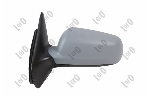 Exterior Mirror (4011M10)