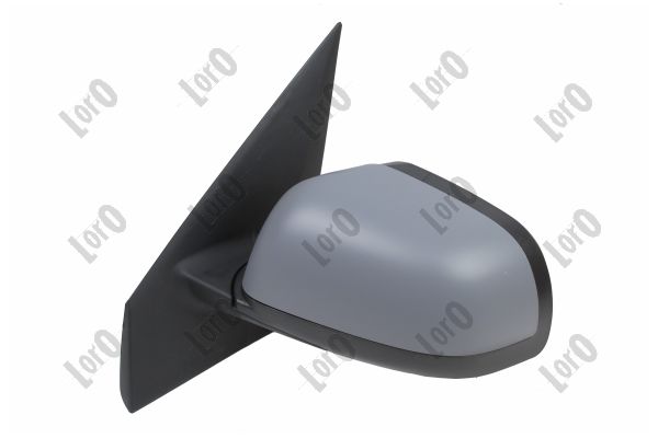 Exterior Mirror (0806M07)