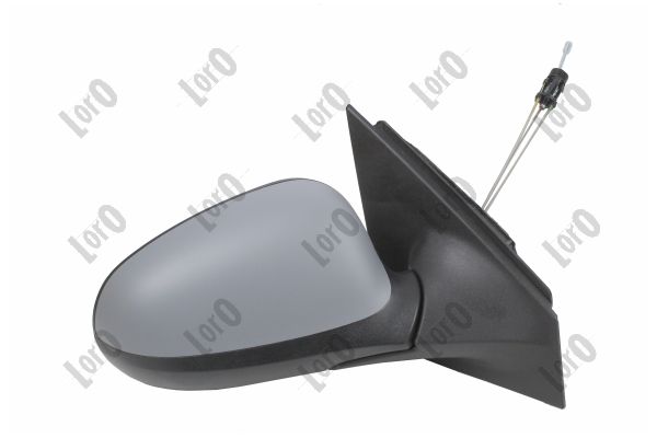 Exterior Mirror (2018M04)