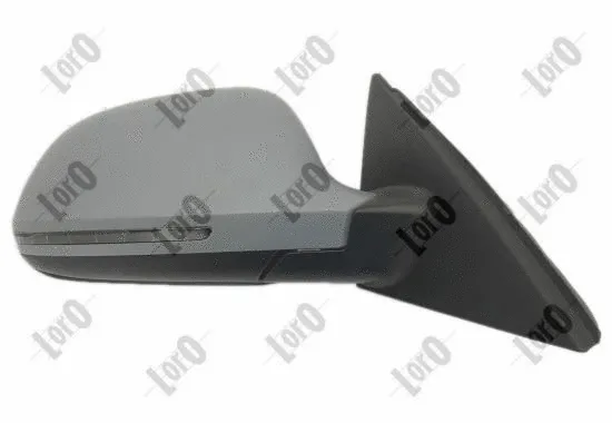 Exterior Mirror (0217M06)
