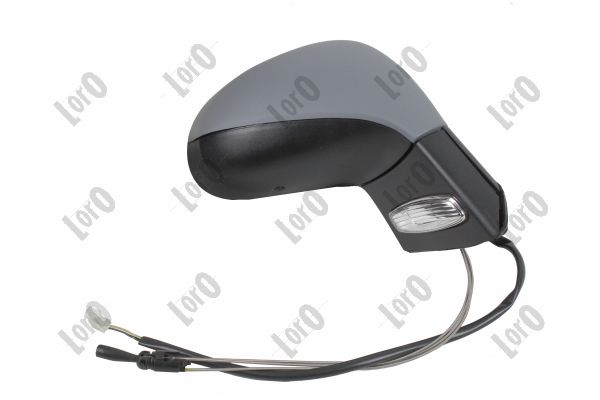 Exterior Mirror (2911M02)