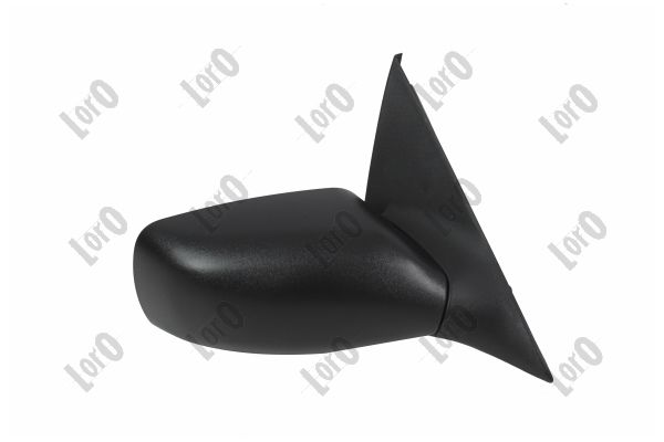 Exterior Mirror (1204M02)