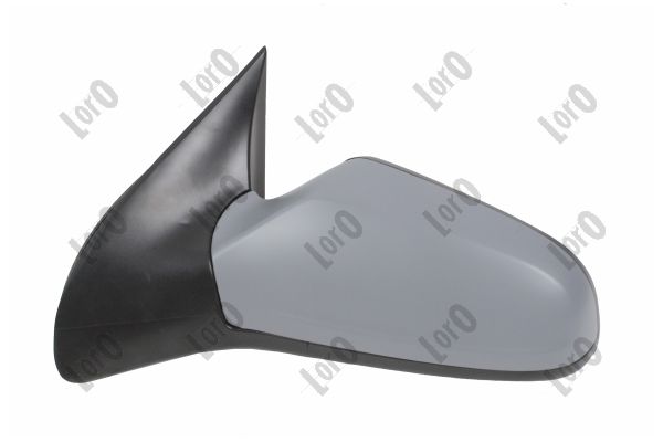 Exterior Mirror (2808M05)