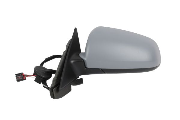 Exterior Mirror (0209M01)