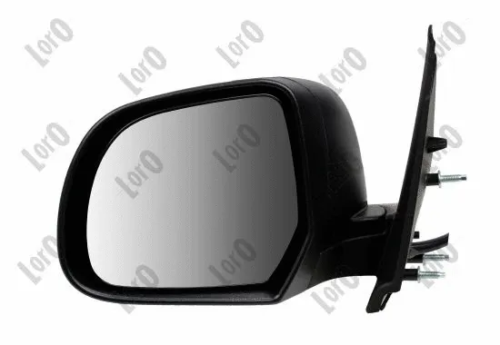 Exterior Mirror (2736M07)