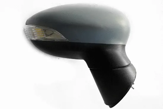 Exterior Mirror (1214M09)