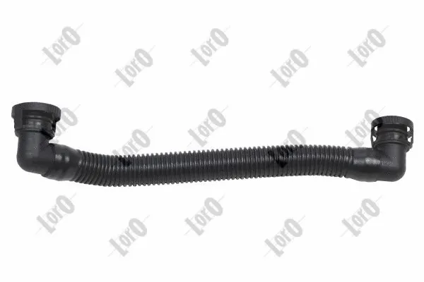 Hose, cylinder head cover ventilation