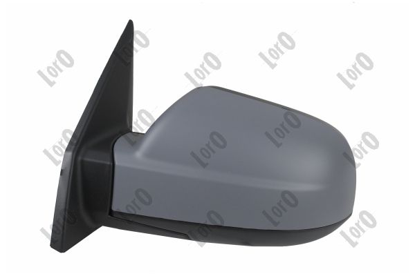 Exterior Mirror (1507M01)