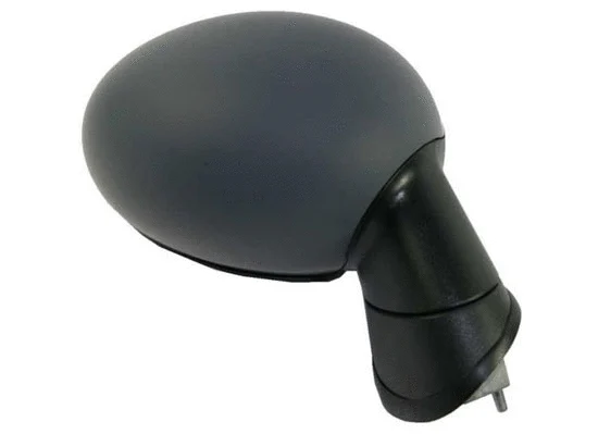 Exterior Mirror (2502M02)