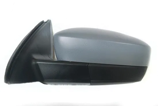 Exterior Mirror (3509M01)