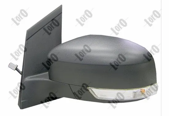 Exterior Mirror (1220M01)