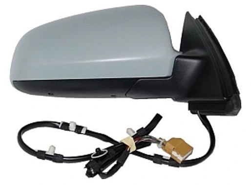 Exterior Mirror (0216M02)