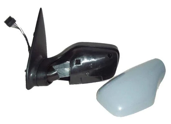 Exterior Mirror (2901M05)