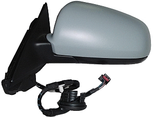 Exterior Mirror (0209M03)