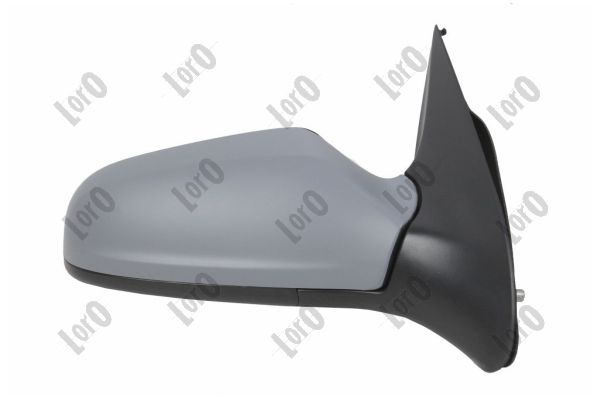 Exterior Mirror (2807M08)