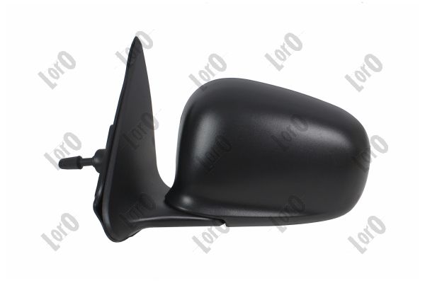 Exterior Mirror (3206M01)