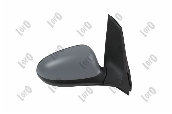 Exterior Mirror (1227M04)