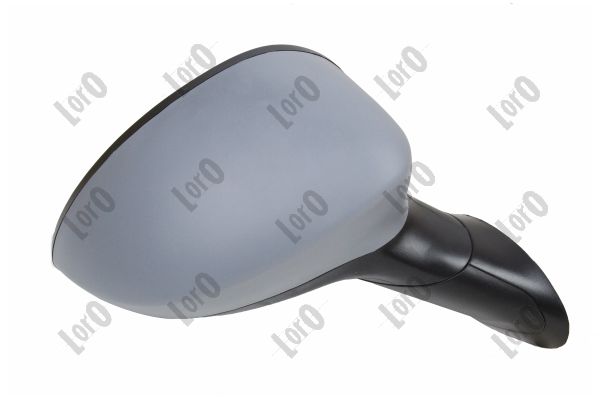 Exterior Mirror (1113M08)