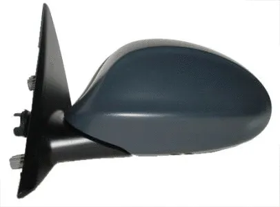 Exterior Mirror (0412M01)
