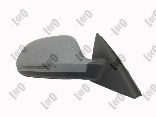 Exterior Mirror (0217M10)