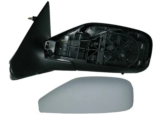 Exterior Mirror (3120M10)