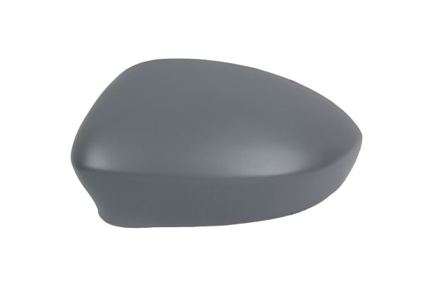Cover, exterior mirror (1101C03)
