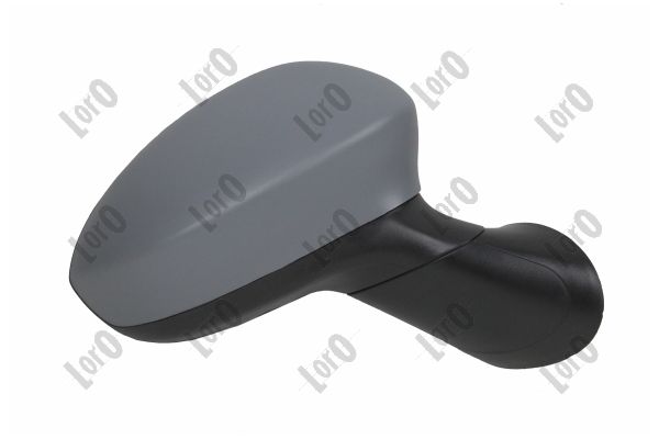 Exterior Mirror (1101M10)