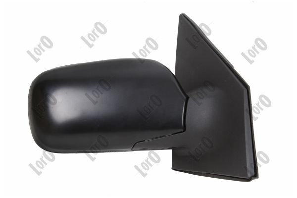 Exterior Mirror (3916M02)