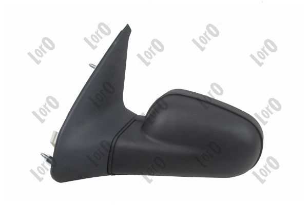 Exterior Mirror (3110M03)