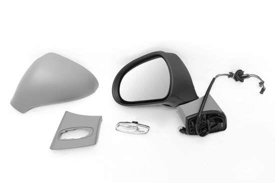 Exterior Mirror (2918M09)