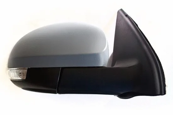 Exterior Mirror (4042M10)