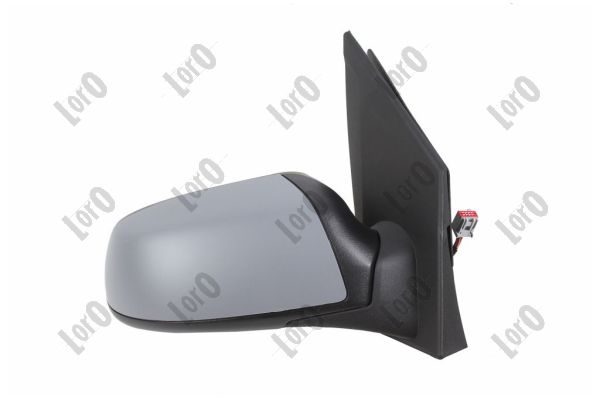 Exterior Mirror (1213M06)