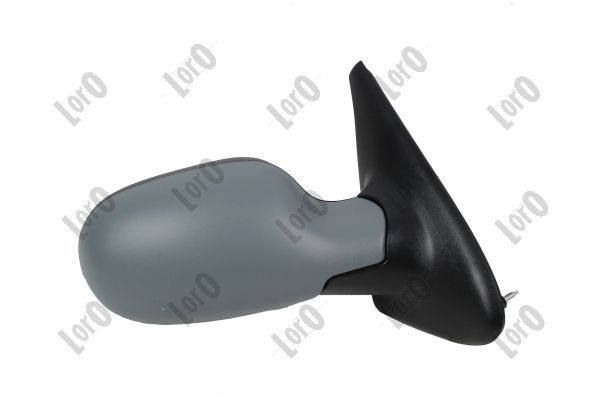 Exterior Mirror (3124M04)