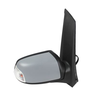 Exterior Mirror (1221M06)