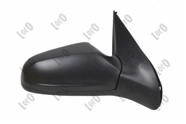 Exterior Mirror (2807M06)