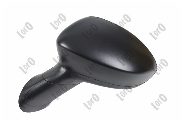 Exterior Mirror (1113M01)