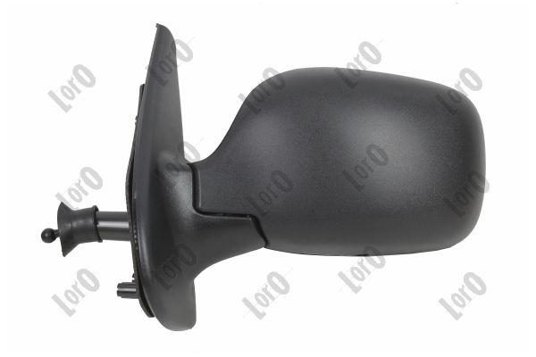 Exterior Mirror (3149M01)