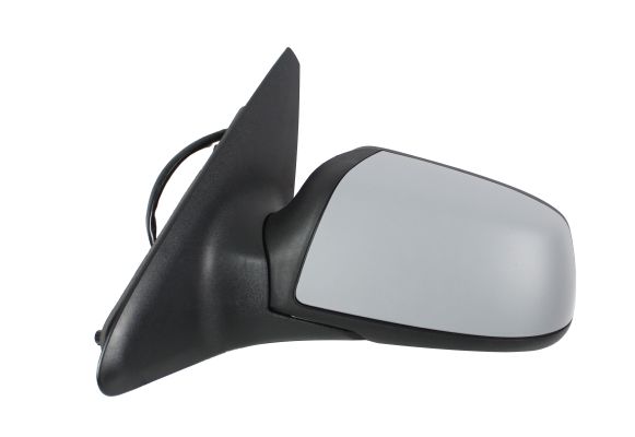 Exterior Mirror (1231M07)