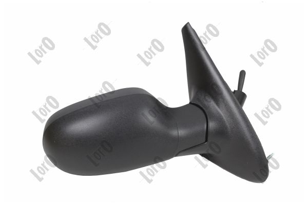 Exterior Mirror (3122M02)