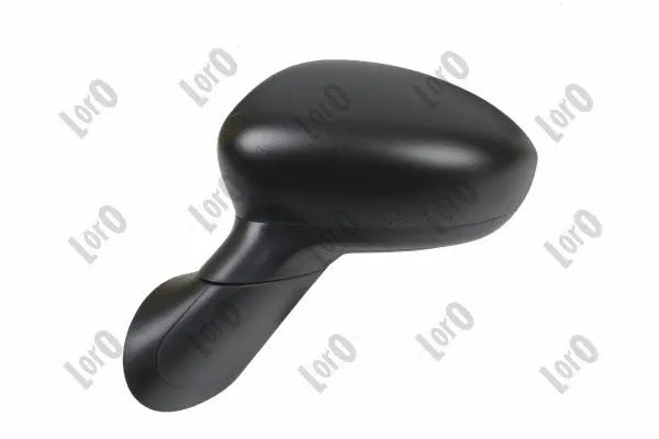 Exterior Mirror (1101M07)