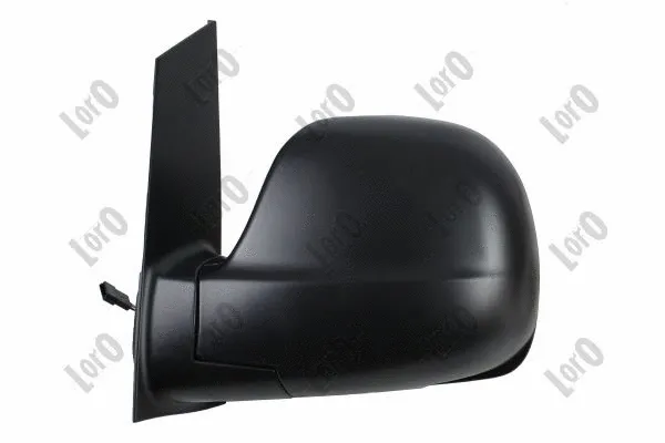 Exterior Mirror (2438M03)