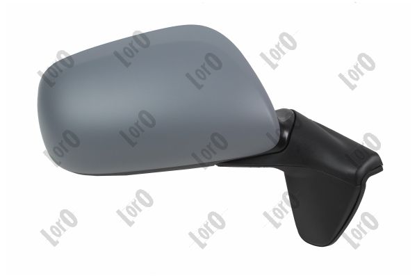 Exterior Mirror (3902M02)