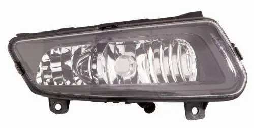 Front Fog Light (441-2045R-UEN2)