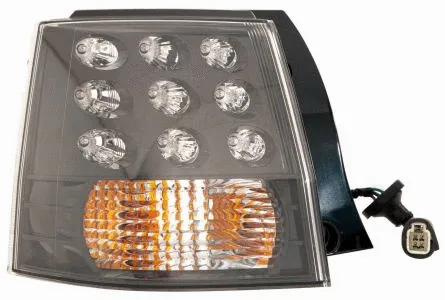 Tail Light Assembly (214-19A8R-AQ)
