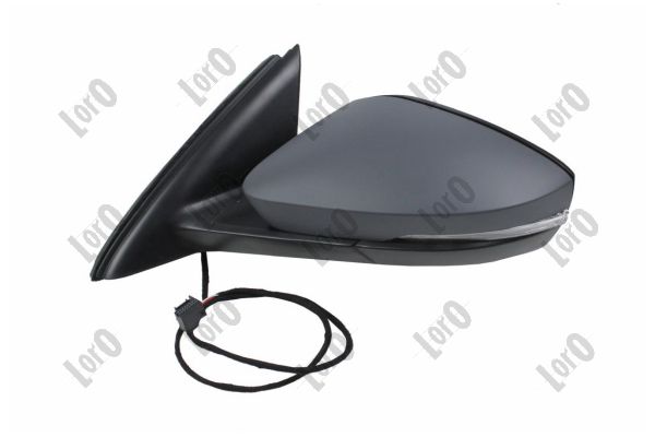 Exterior Mirror (3513M01)