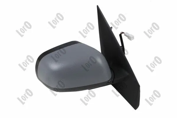 Exterior Mirror (0806M08)