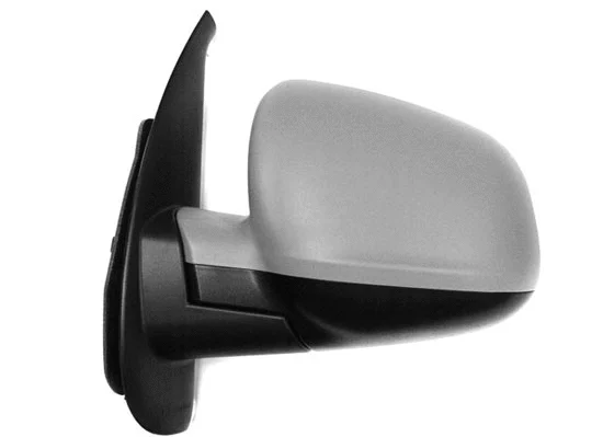 Exterior Mirror (3167M01)