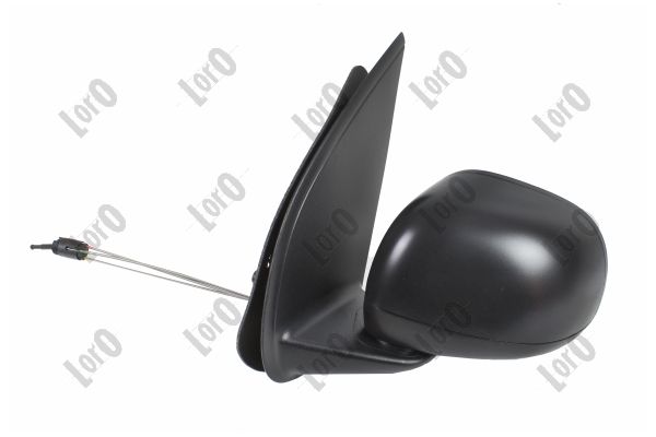 Exterior Mirror (1163M01)