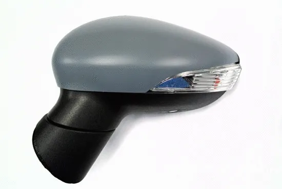 Exterior Mirror (1251M07)